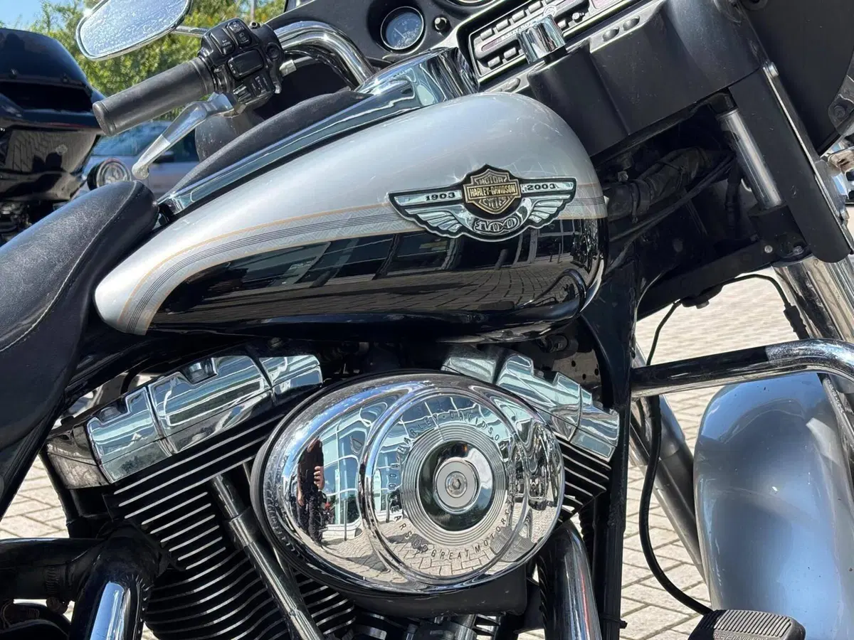 Harley-Davidson 1450 Electra Glide Ultra Classic (2003 - 05) - FLHTCUI (15)
