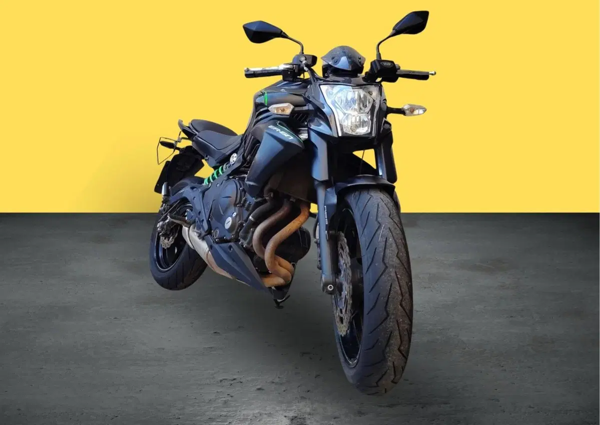 Kawasaki ER-6N ABS (2012 - 16) (2)