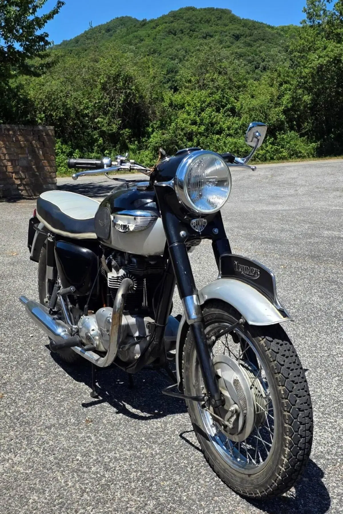 Triumph TUNDERBIRD 650 6TDU (3)