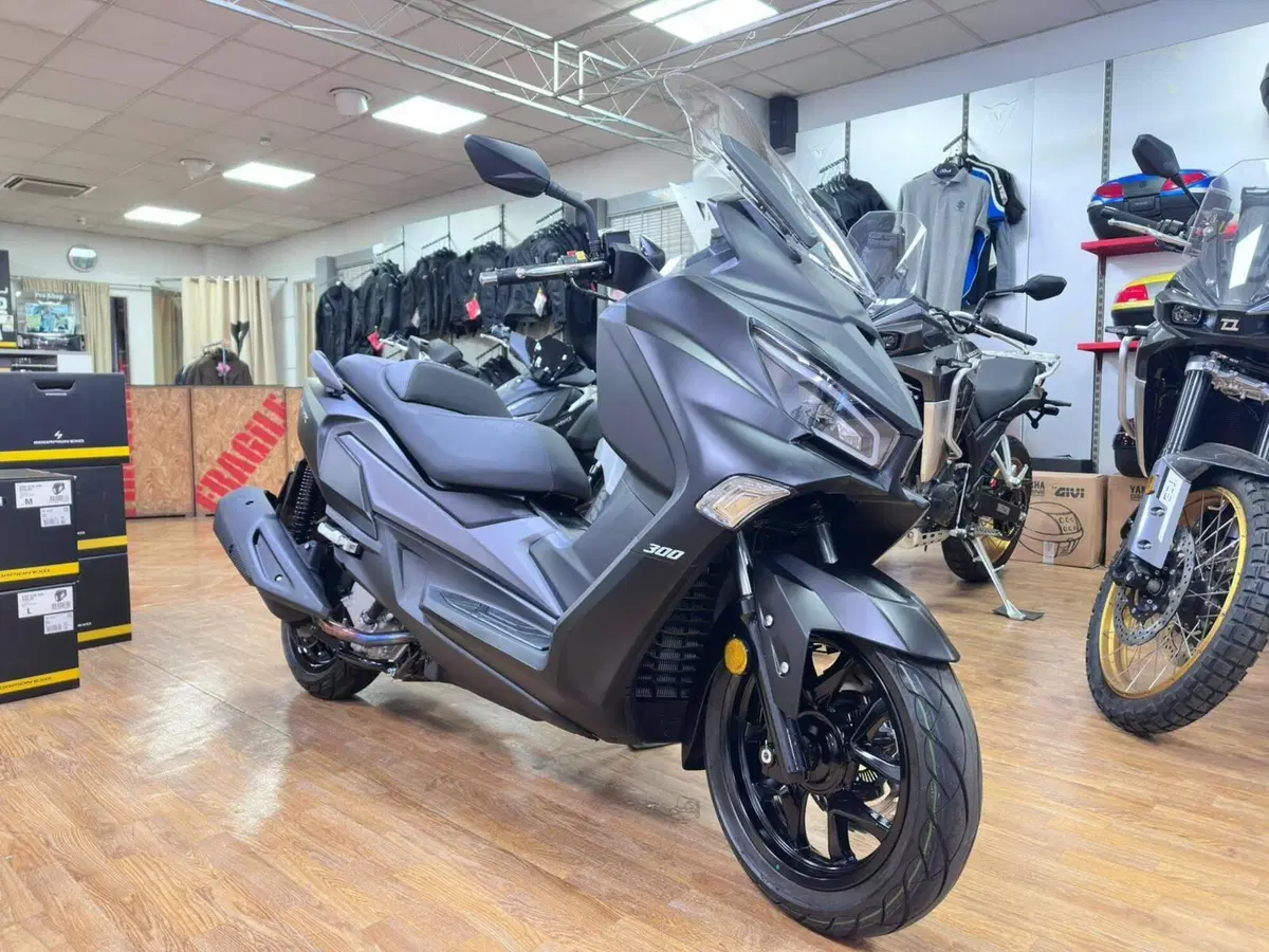 Sym Joymax 300 Z (2025 - 26)