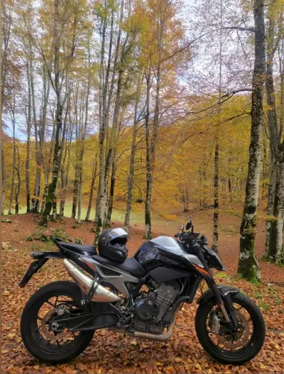 KTM 790 Duke (2018 - 20) usata