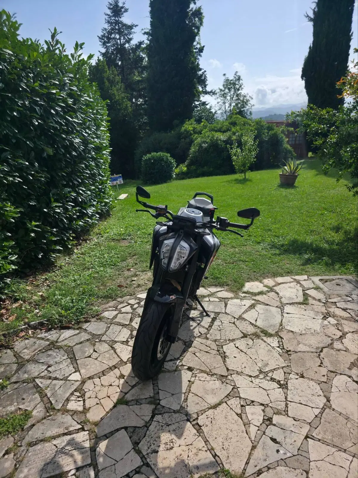 KTM 790 Duke (2018 - 20) (3)