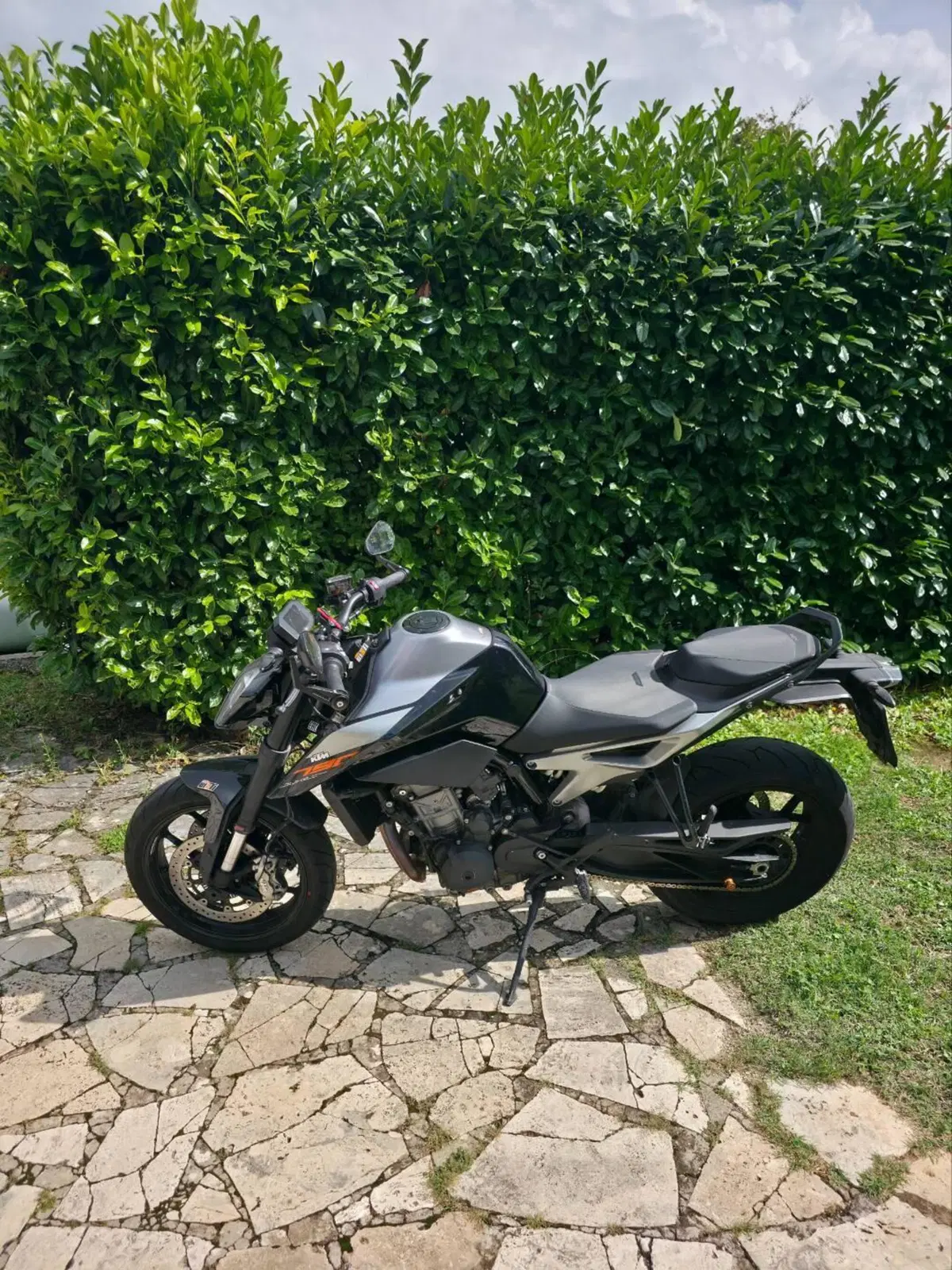 KTM 790 Duke (2018 - 20) (6)