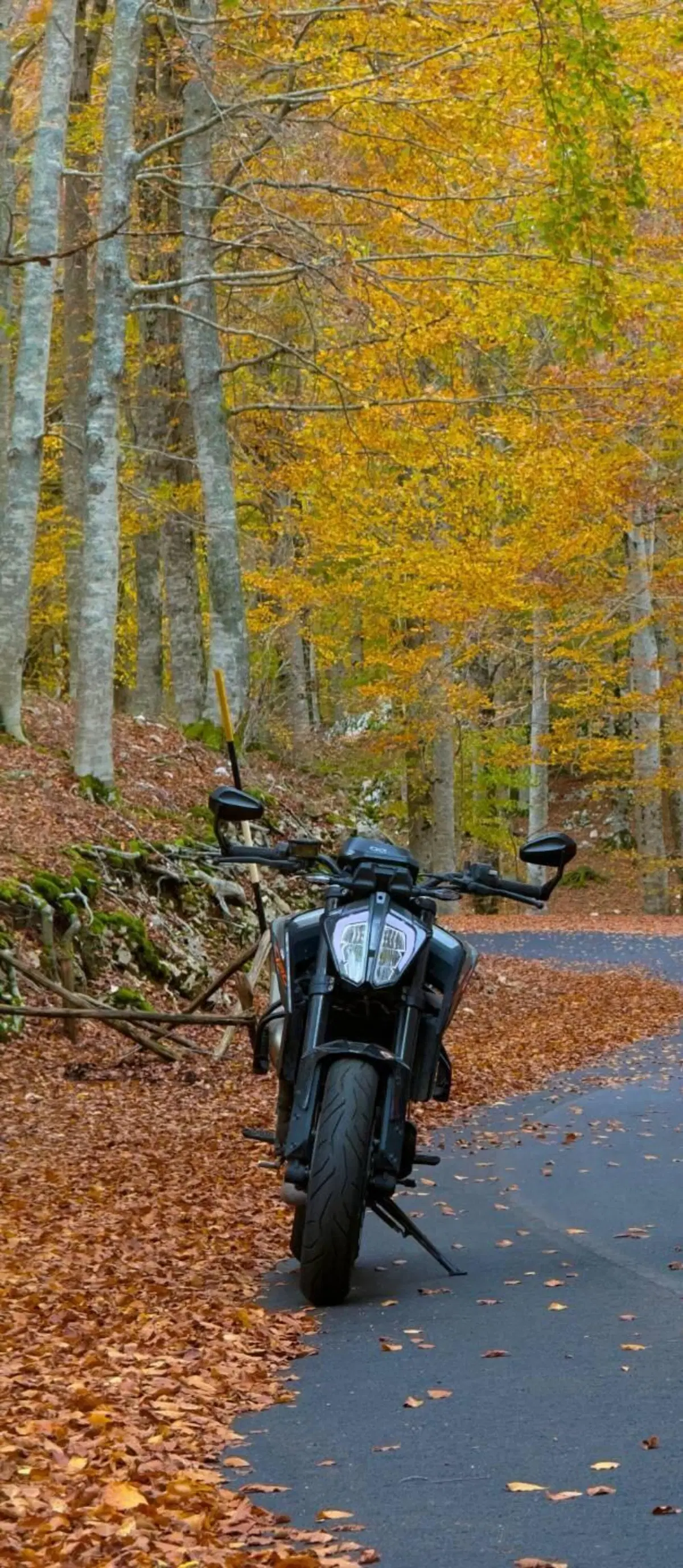 KTM 790 Duke (2018 - 20) (4)