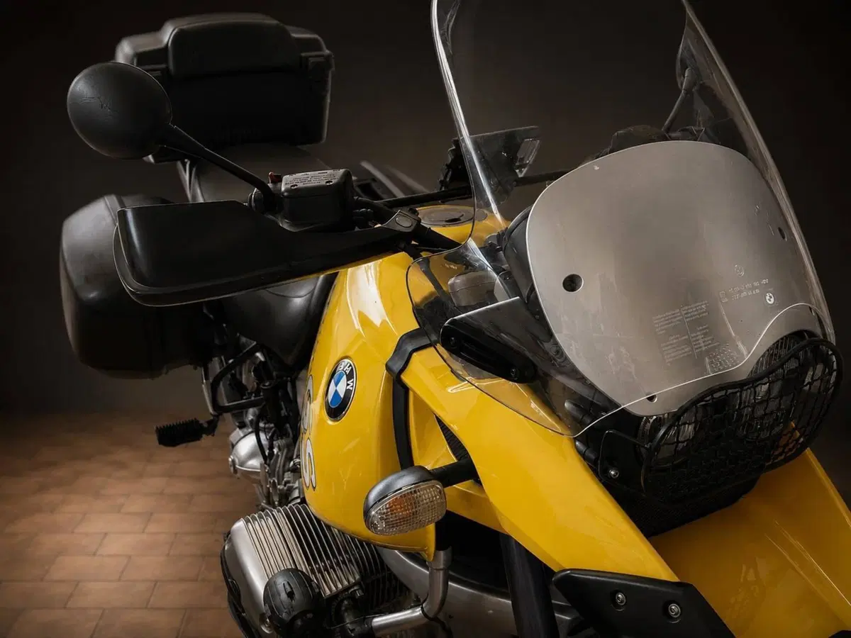 Bmw R 1150 GS (1999 - 03) (5)