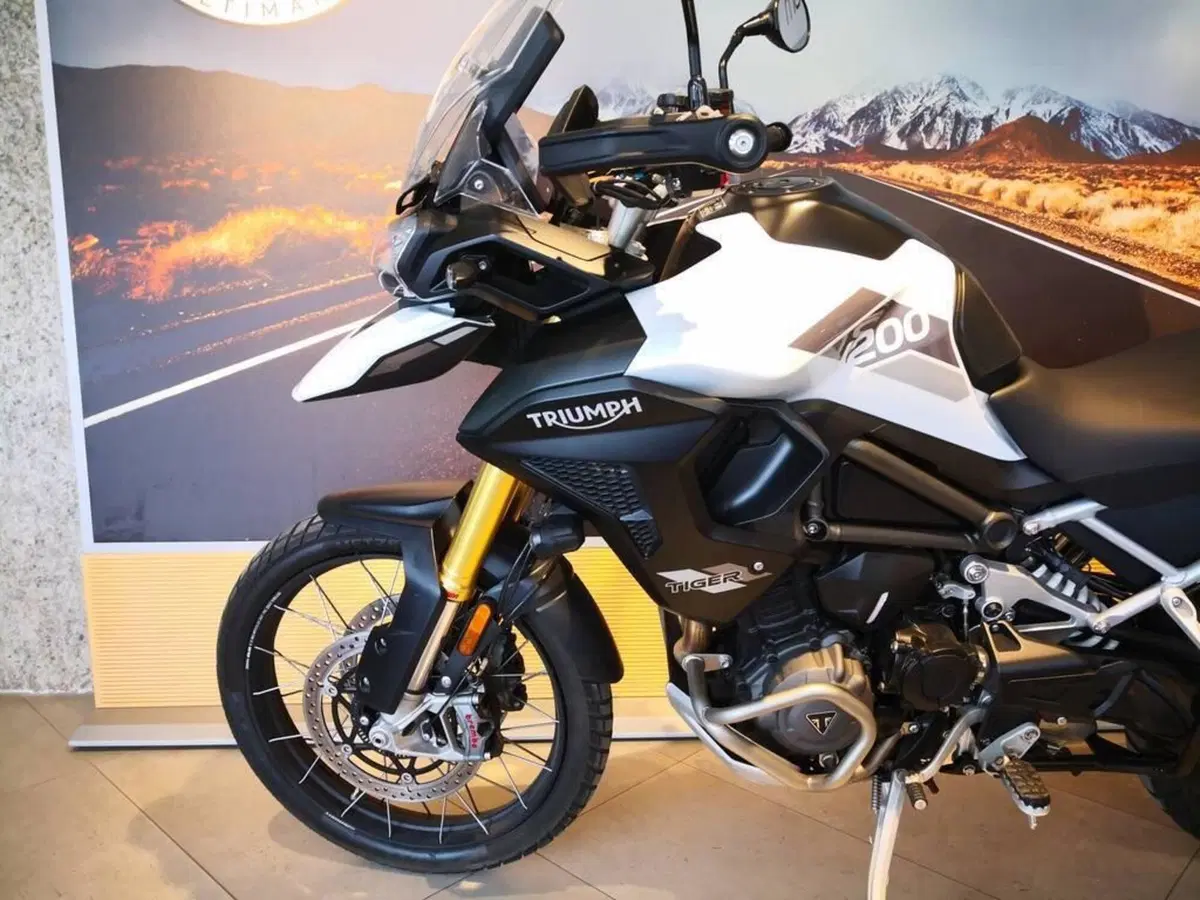 Triumph Tiger 1200 Rally Explorer (2024 - 26) (10)