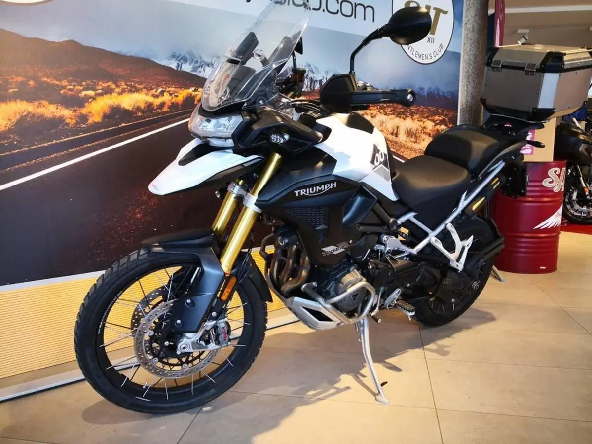 Triumph Tiger 1200 Rally Explorer (2024 - 26) (11)