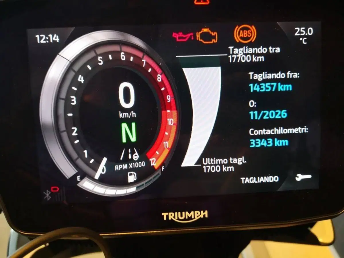 Triumph Tiger 1200 Rally Explorer (2024 - 26) (12)