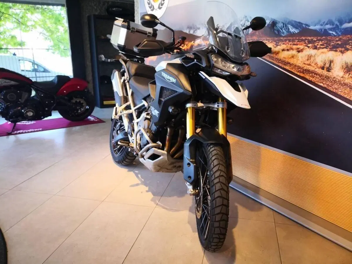 Triumph Tiger 1200 Rally Explorer (2024 - 26) (3)