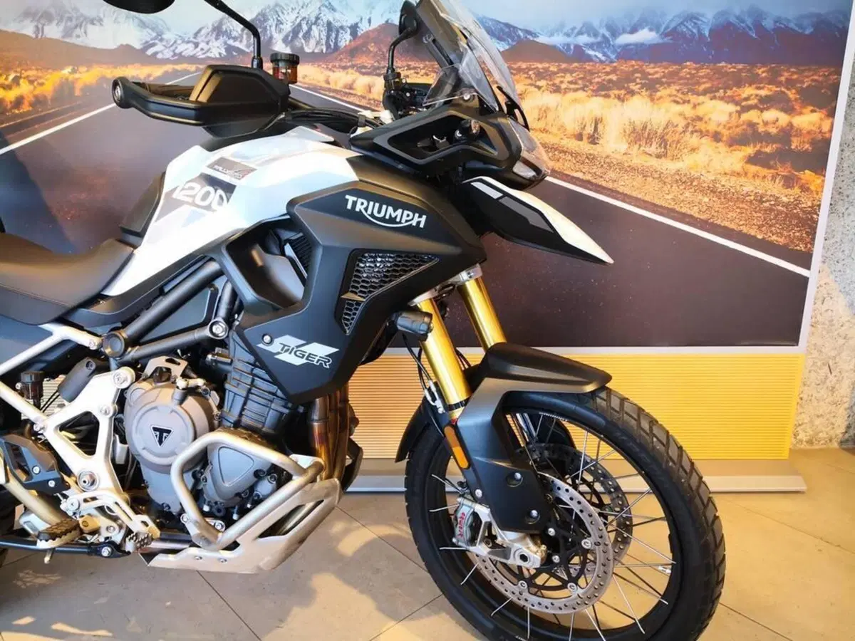 Triumph Tiger 1200 Rally Explorer (2024 - 26) (4)