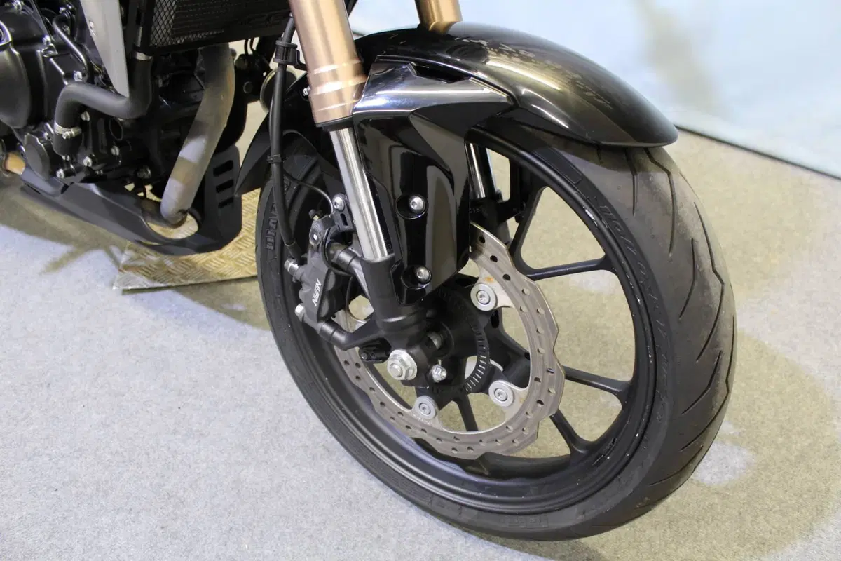 Honda CB 300 R (2020 - 21) (7)