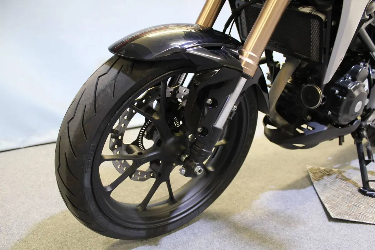 Honda CB 300 R (2020 - 21) (14)