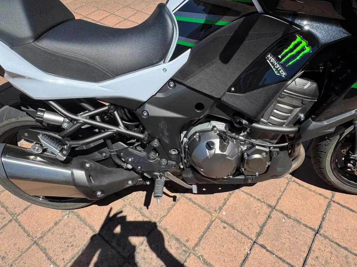 Kawasaki Versys 1000 (2019 - 20) (12)