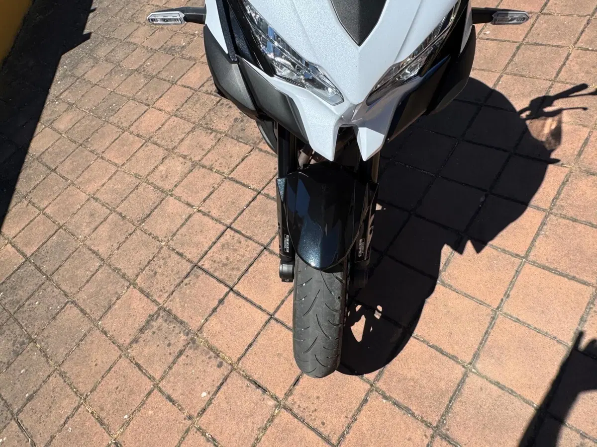 Kawasaki Versys 1000 (2019 - 20) (14)