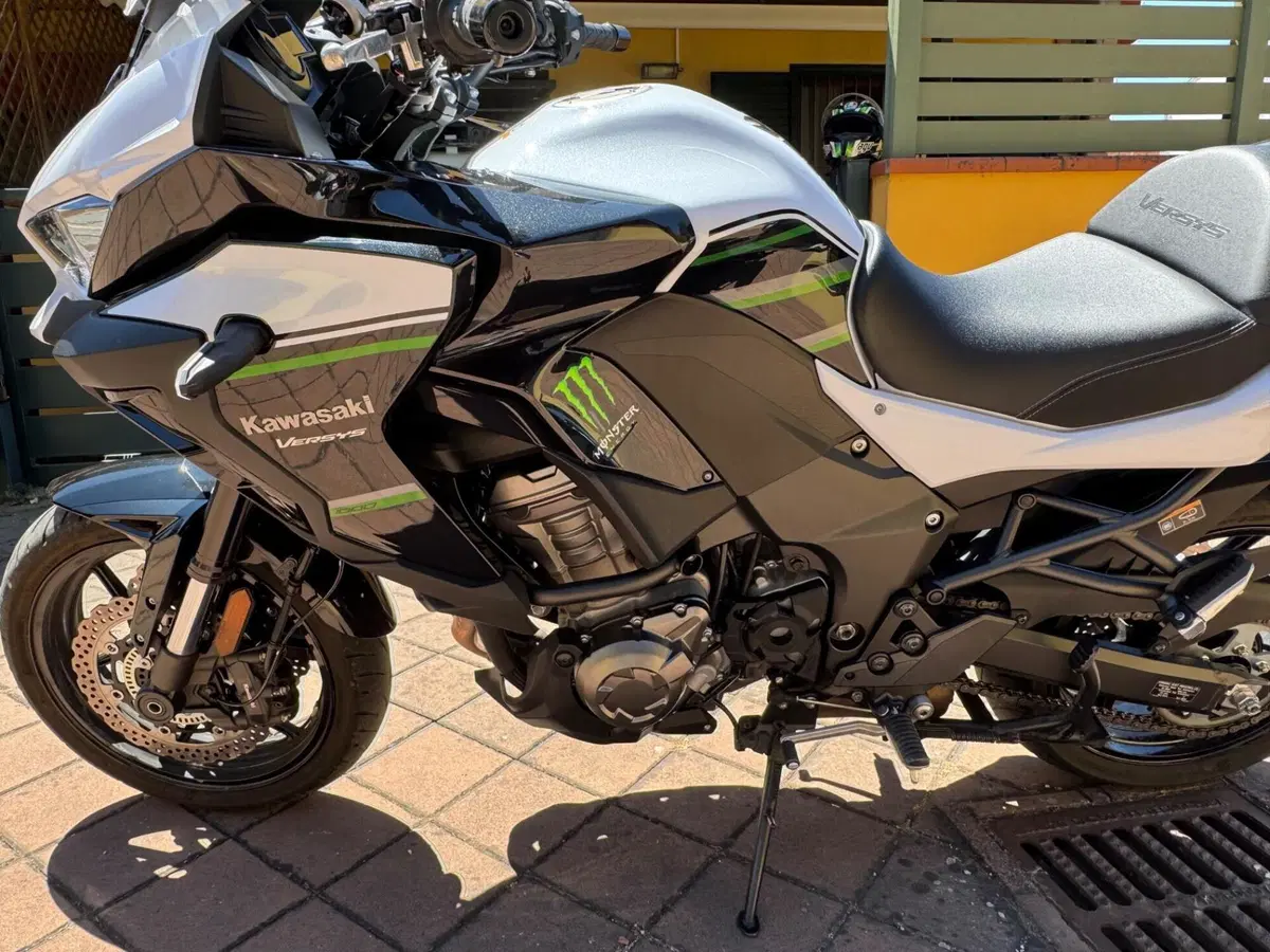 Kawasaki Versys 1000 (2019 - 20) (15)