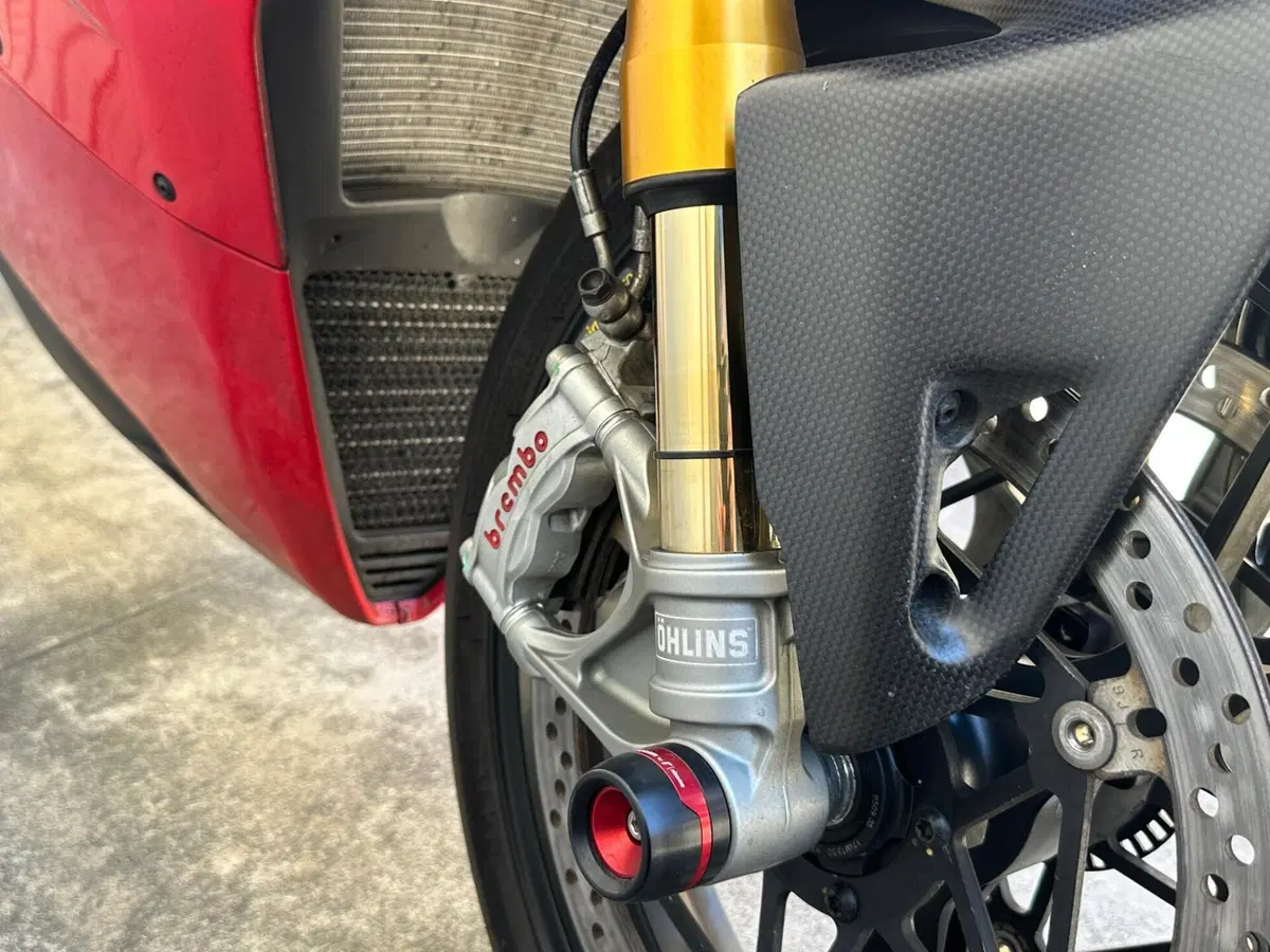 Ducati Panigale V4 S 1100 (2020) (4)
