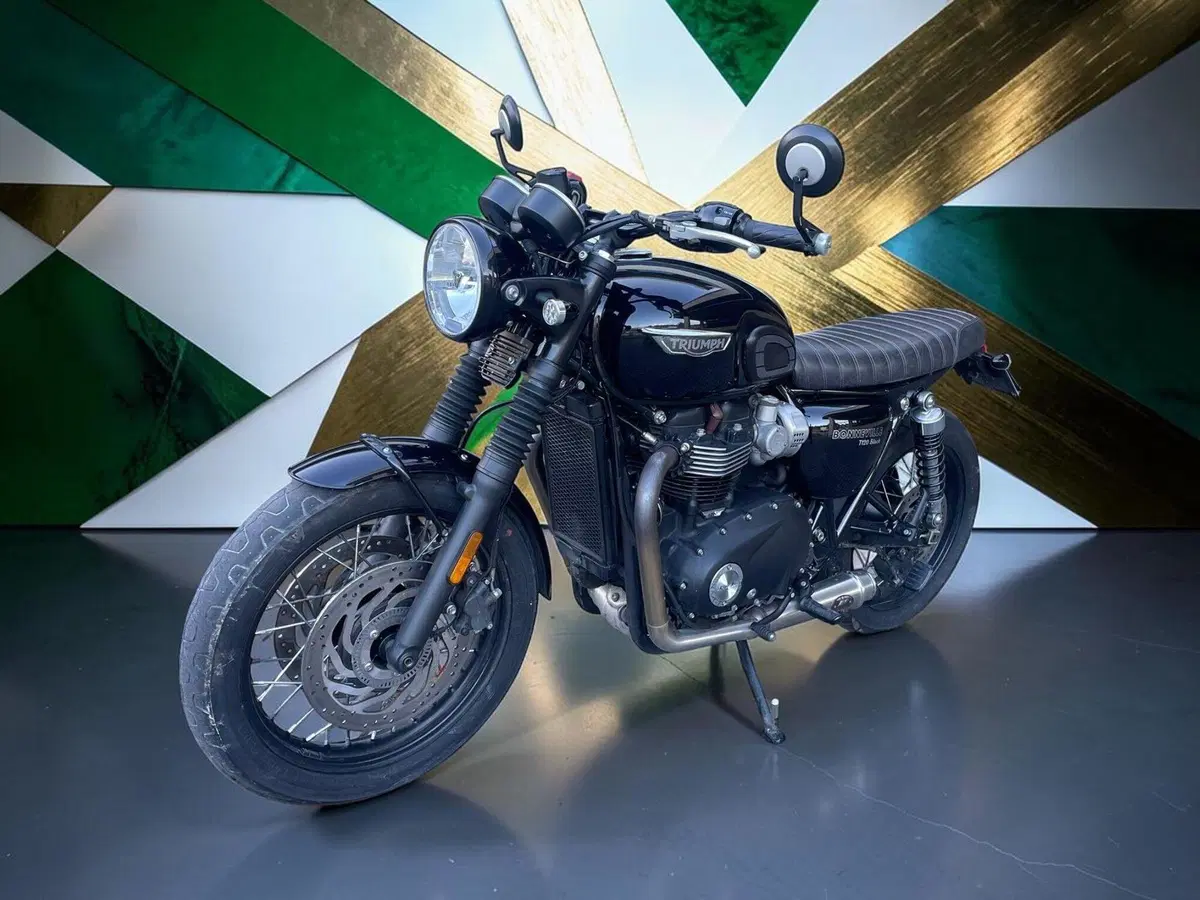 Triumph Bonneville T120 Black (2017 - 20) (3)