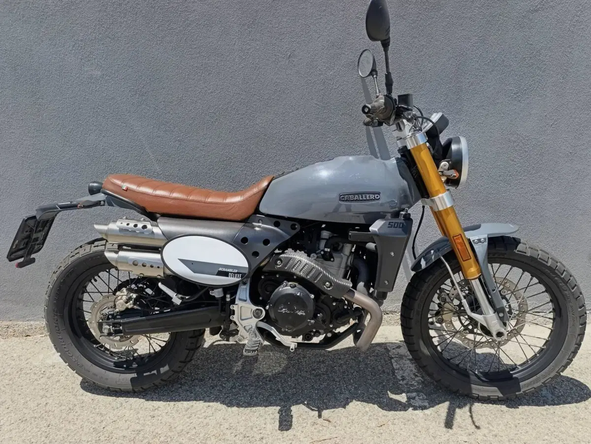 Fantic Motor Caballero 500 Scrambler Deluxe (2021 - 23) (2)