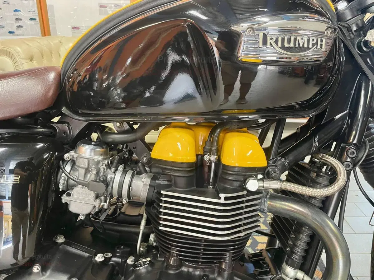Triumph Bonneville T100 (2001 - 07) (5)