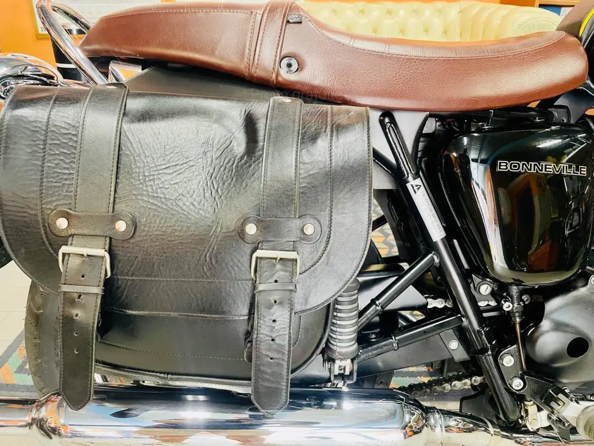 Triumph Bonneville T100 (2001 - 07) (7)