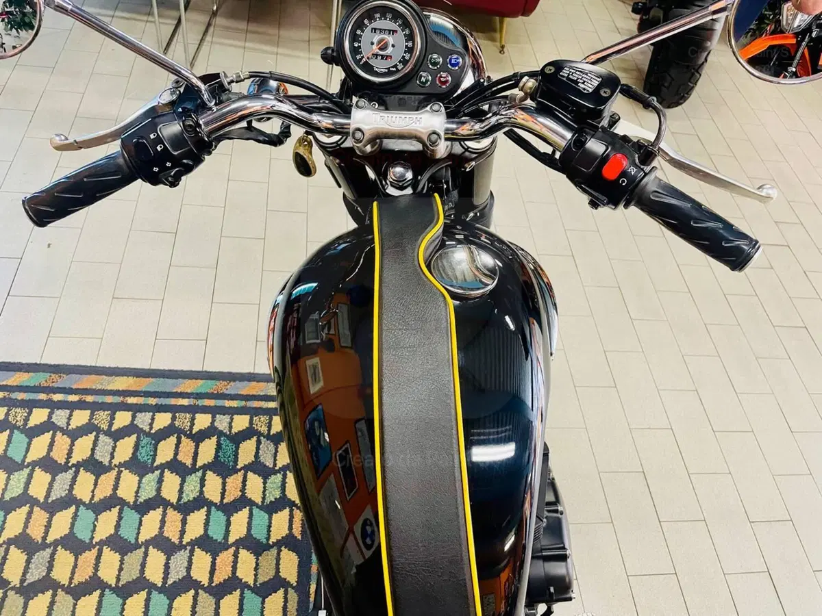 Triumph Bonneville T100 (2001 - 07) (9)