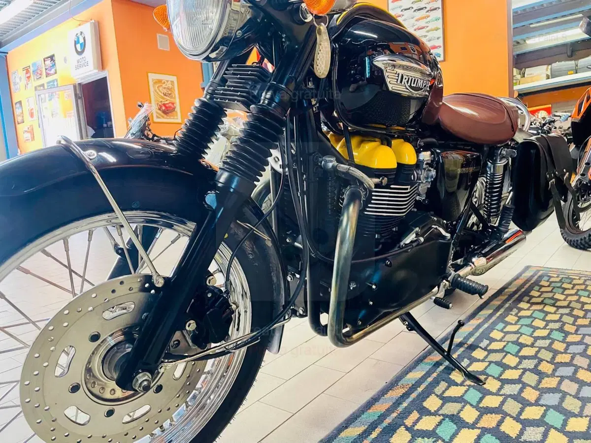 Triumph Bonneville T100 (2001 - 07) (3)