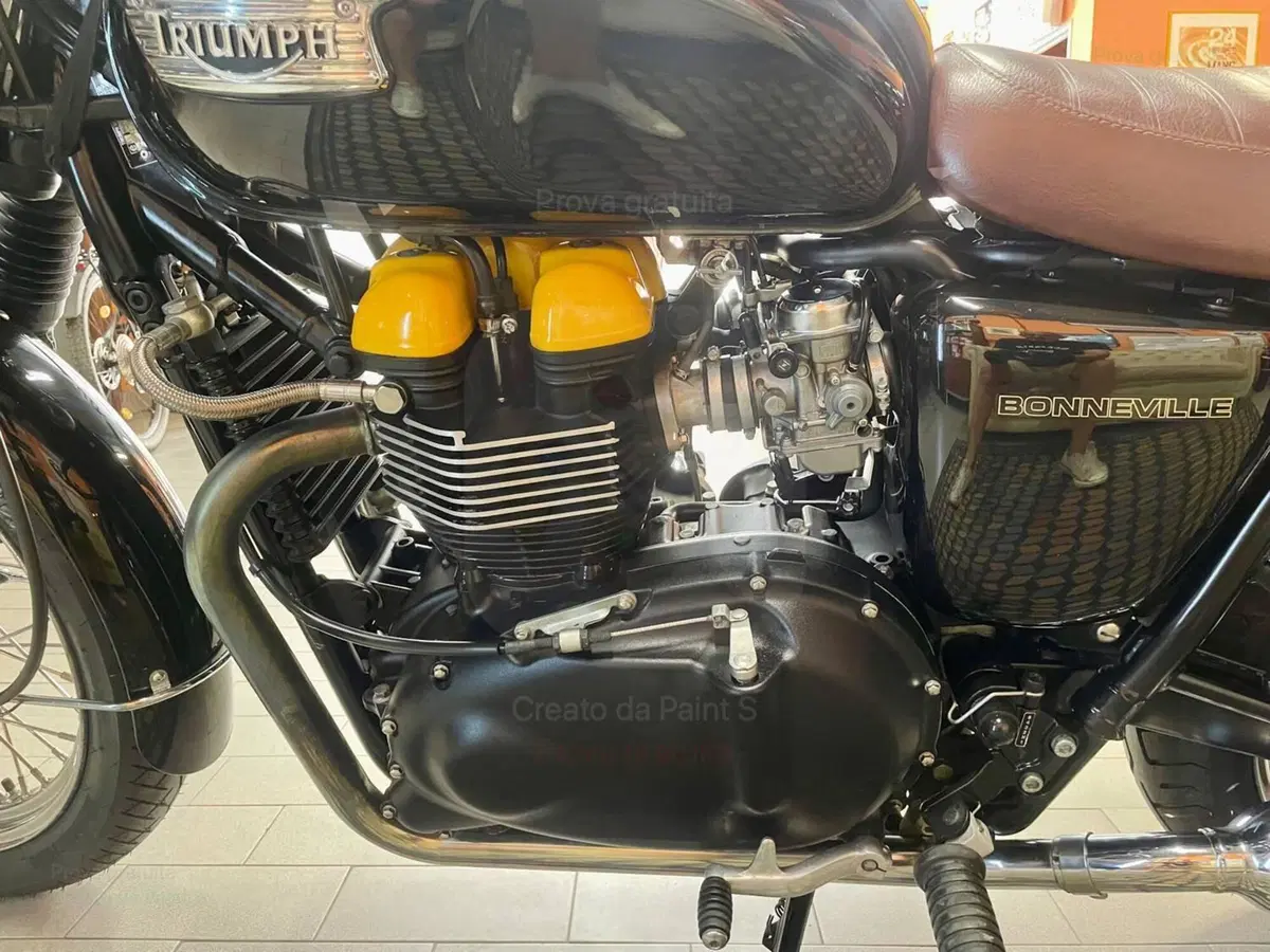 Triumph Bonneville T100 (2001 - 07) (6)