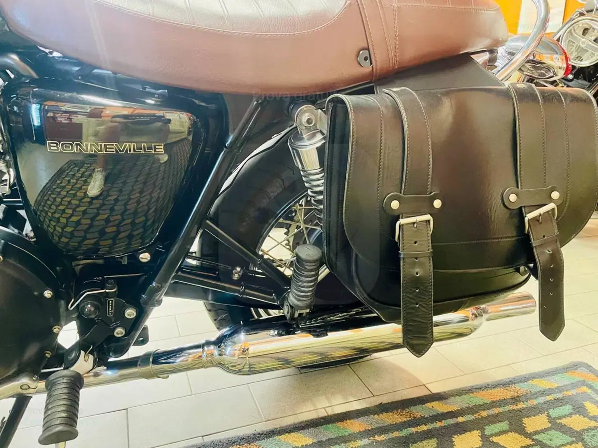 Triumph Bonneville T100 (2001 - 07) (8)