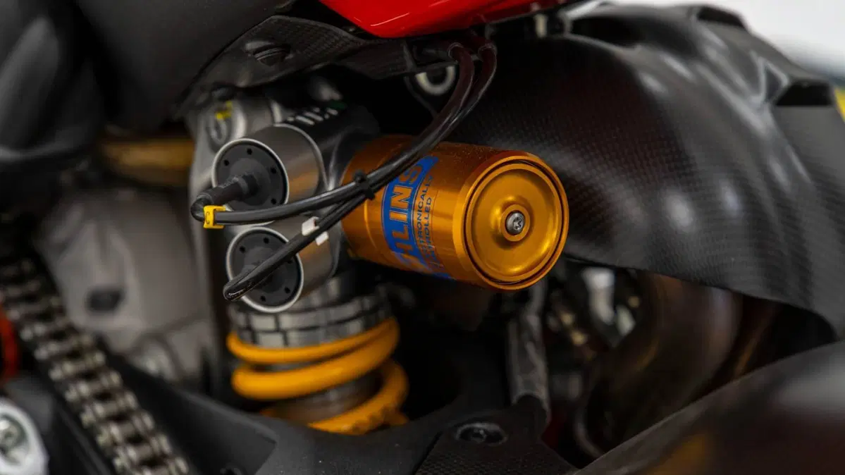Ducati Panigale V4 Bautista 2022 World Champion Replica (2023) (16)