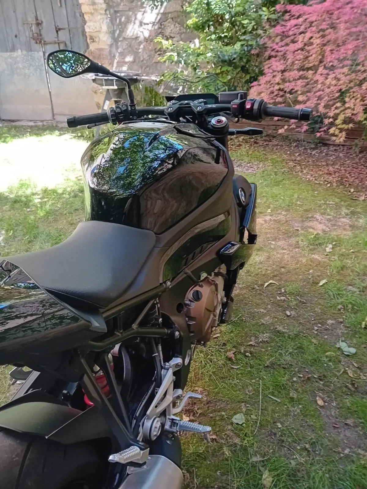 Bmw S 1000 R (2021 - 24) (5)