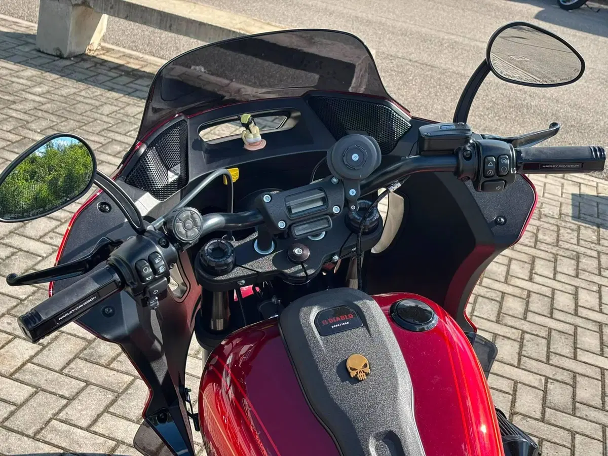 Harley-Davidson Low Rider ST (2022 - 24) (3)