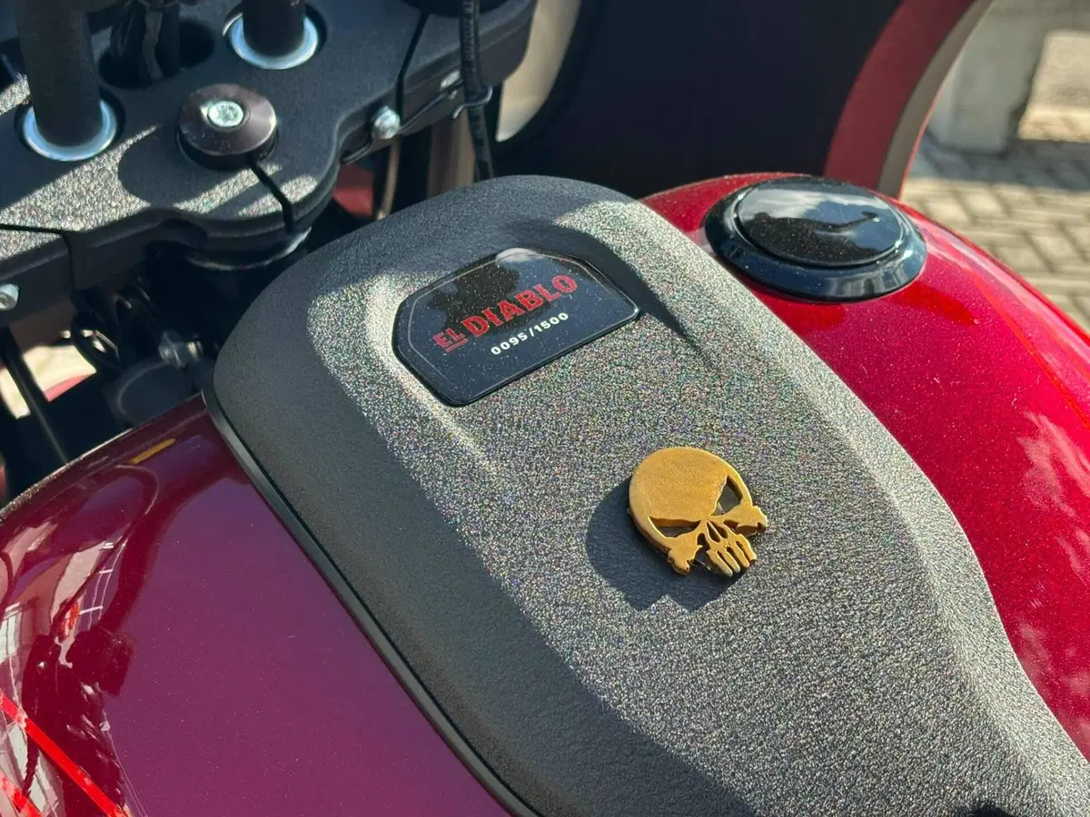 Harley-Davidson Low Rider ST (2022 - 24) (4)