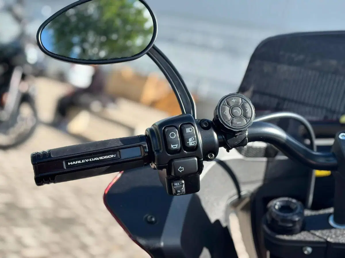 Harley-Davidson Low Rider ST (2022 - 24) (7)