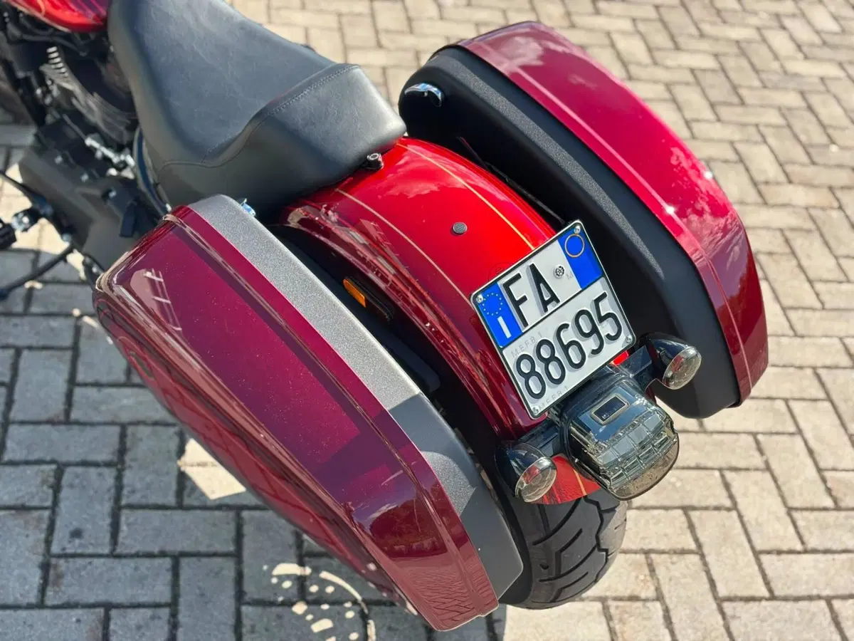 Harley-Davidson Low Rider ST (2022 - 24) (8)