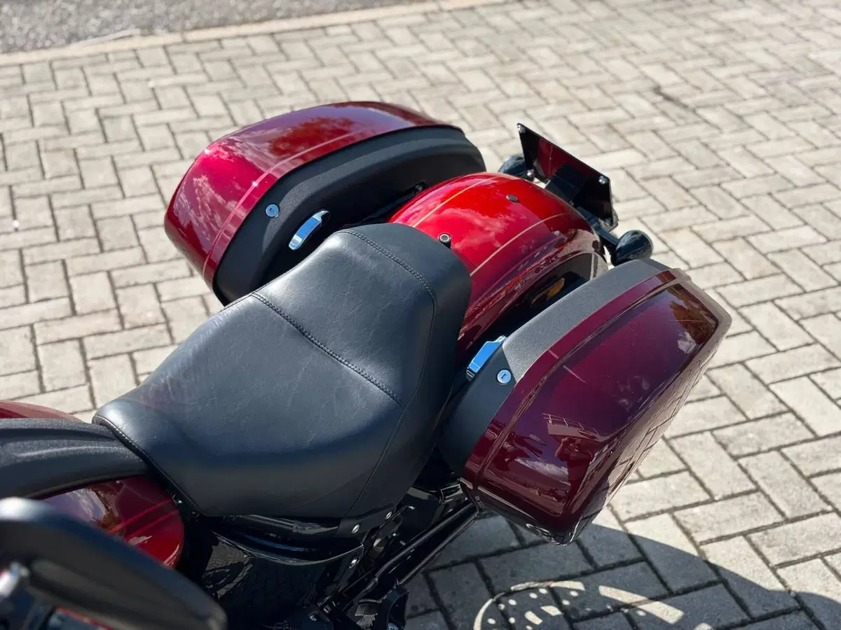 Harley-Davidson Low Rider ST (2022 - 24) (9)
