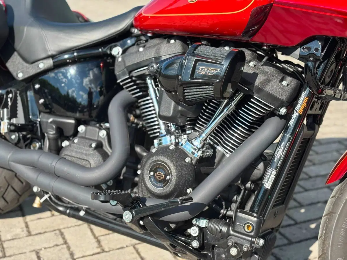Harley-Davidson Low Rider ST (2022 - 24) (12)