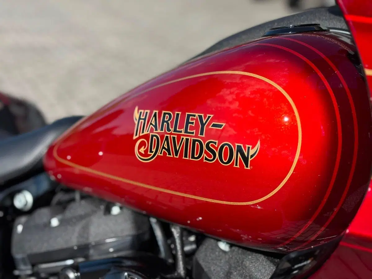 Harley-Davidson Low Rider ST (2022 - 24) (13)