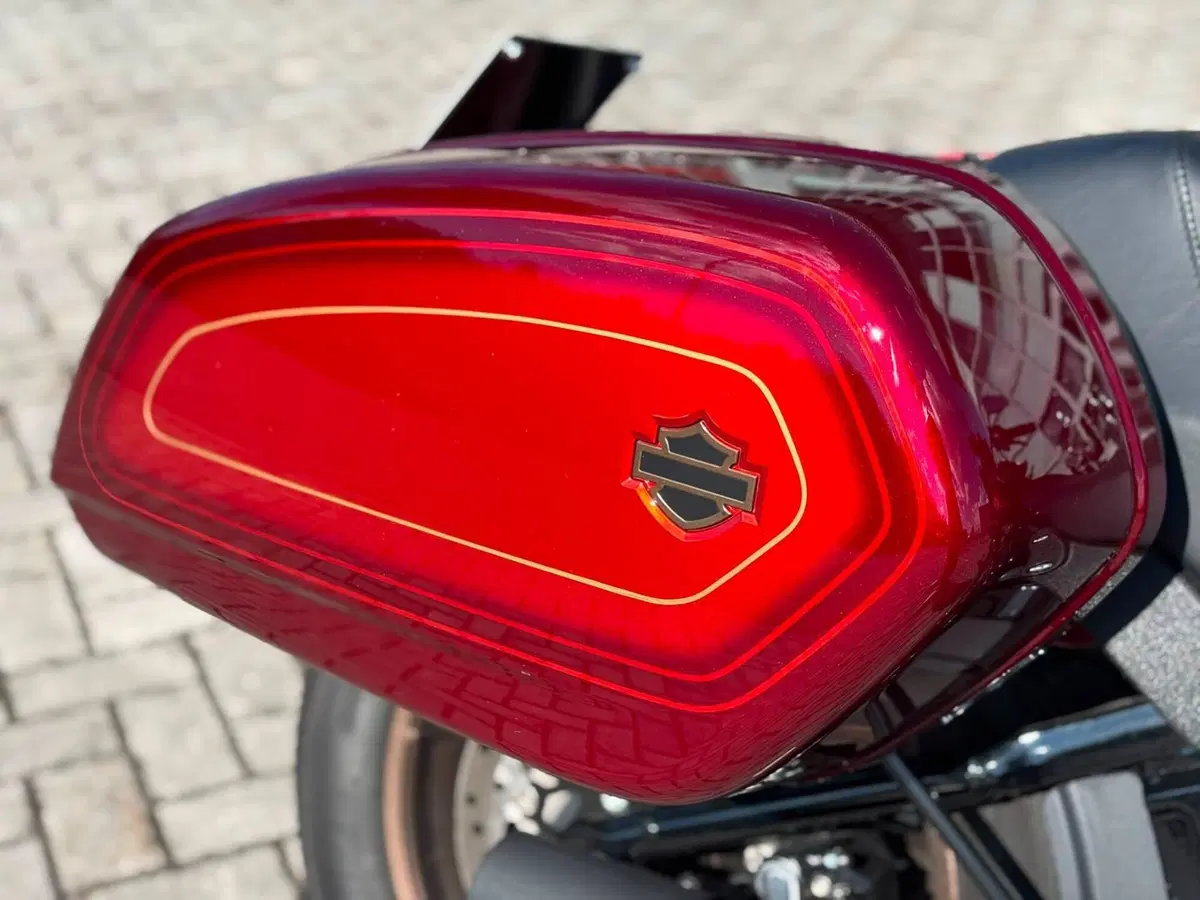 Harley-Davidson Low Rider ST (2022 - 24) (14)