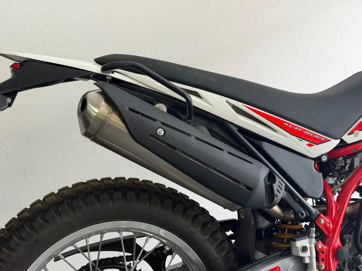 Betamotor Alp 200 (2021 - 25) (2)