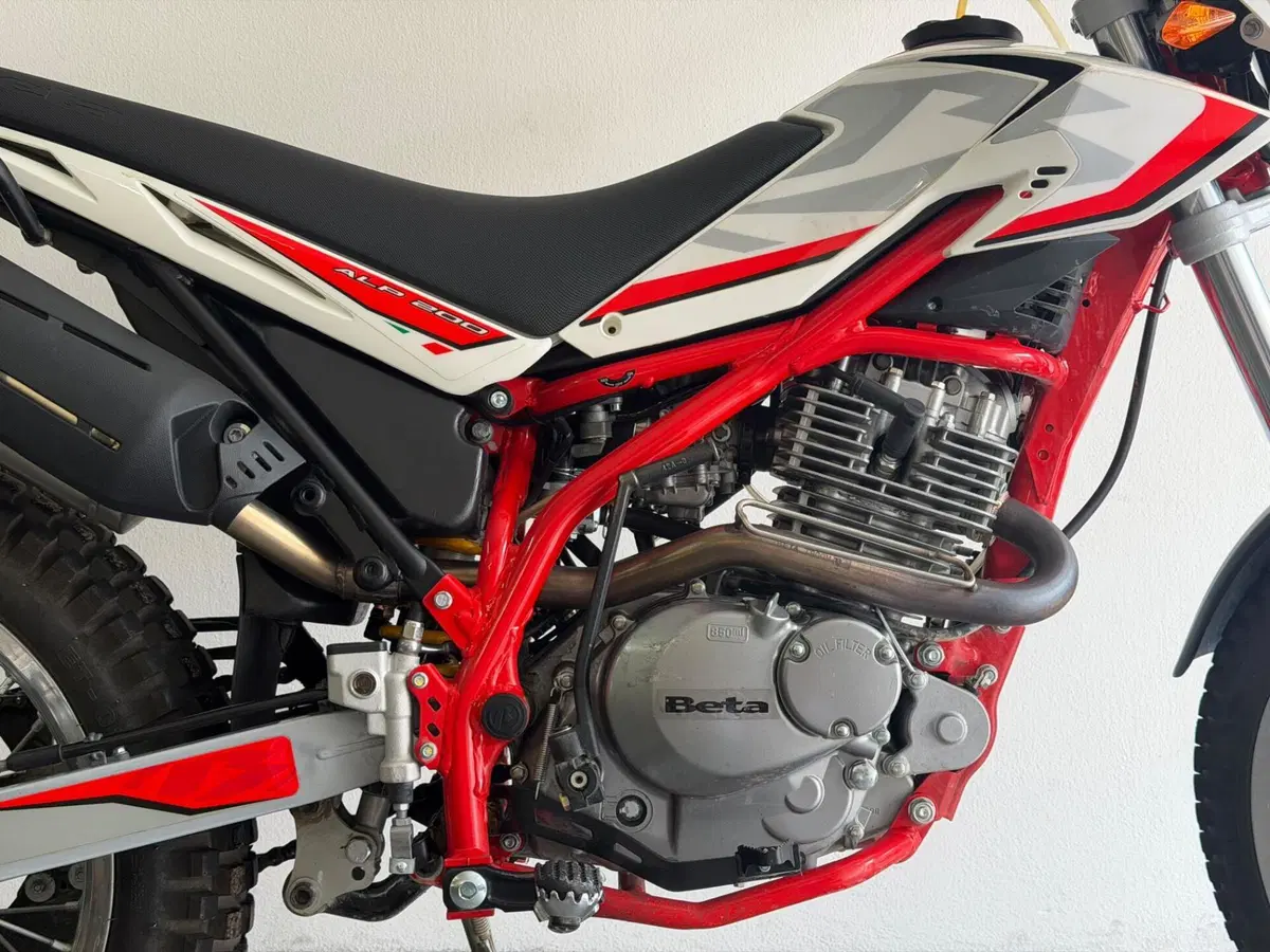 Betamotor Alp 200 (2021 - 25) (3)
