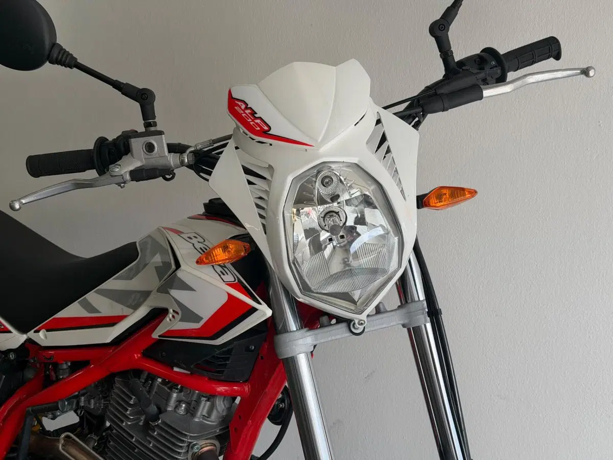 Betamotor Alp 200 (2021 - 25) (4)