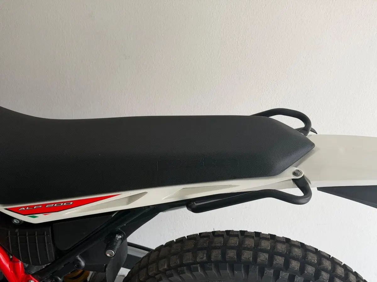 Betamotor Alp 200 (2021 - 25) (6)