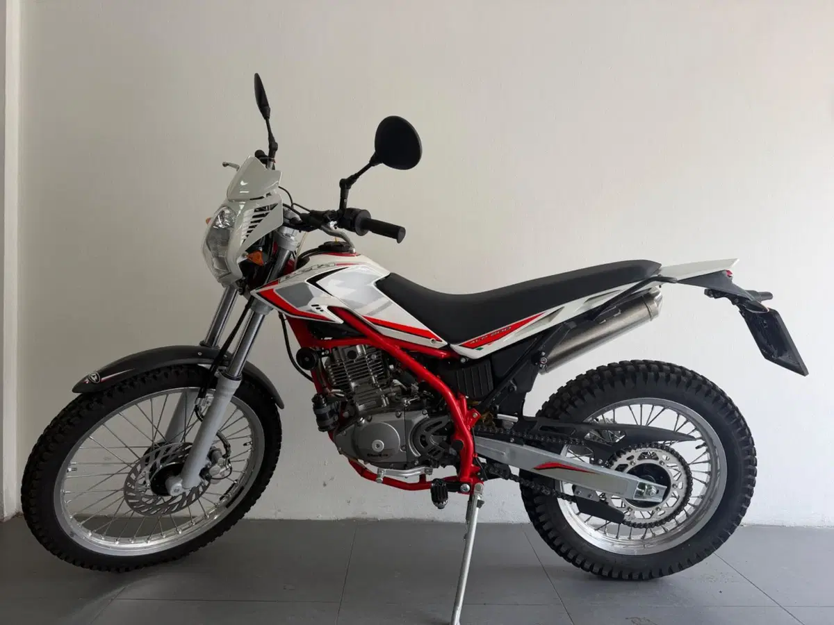 Betamotor Alp 200 (2021 - 25) (7)