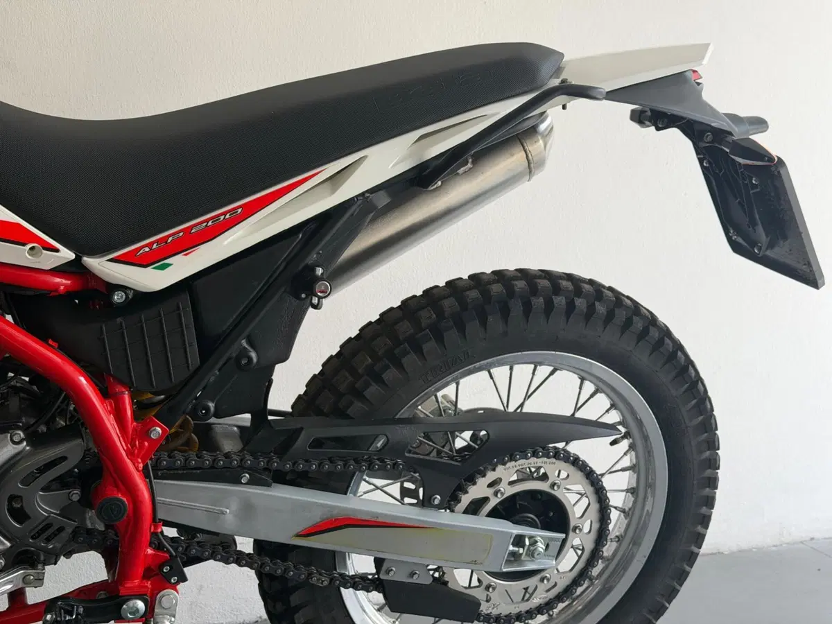 Betamotor Alp 200 (2021 - 25) (8)