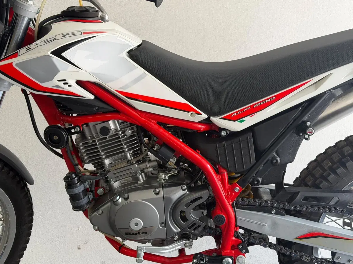 Betamotor Alp 200 (2021 - 25) (9)