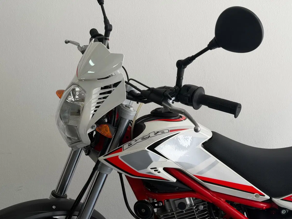 Betamotor Alp 200 (2021 - 25) (10)