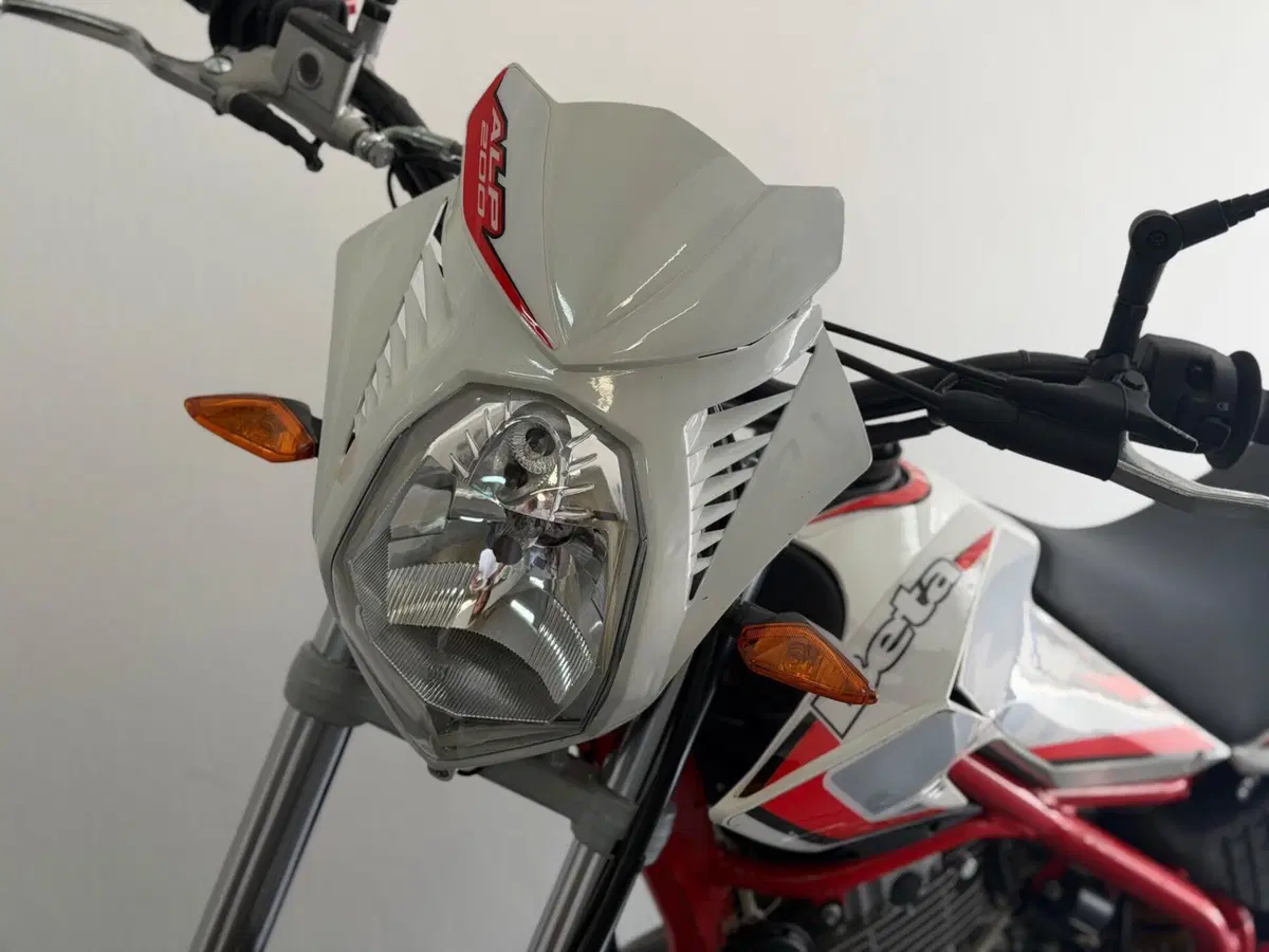 Betamotor Alp 200 (2021 - 25) (11)
