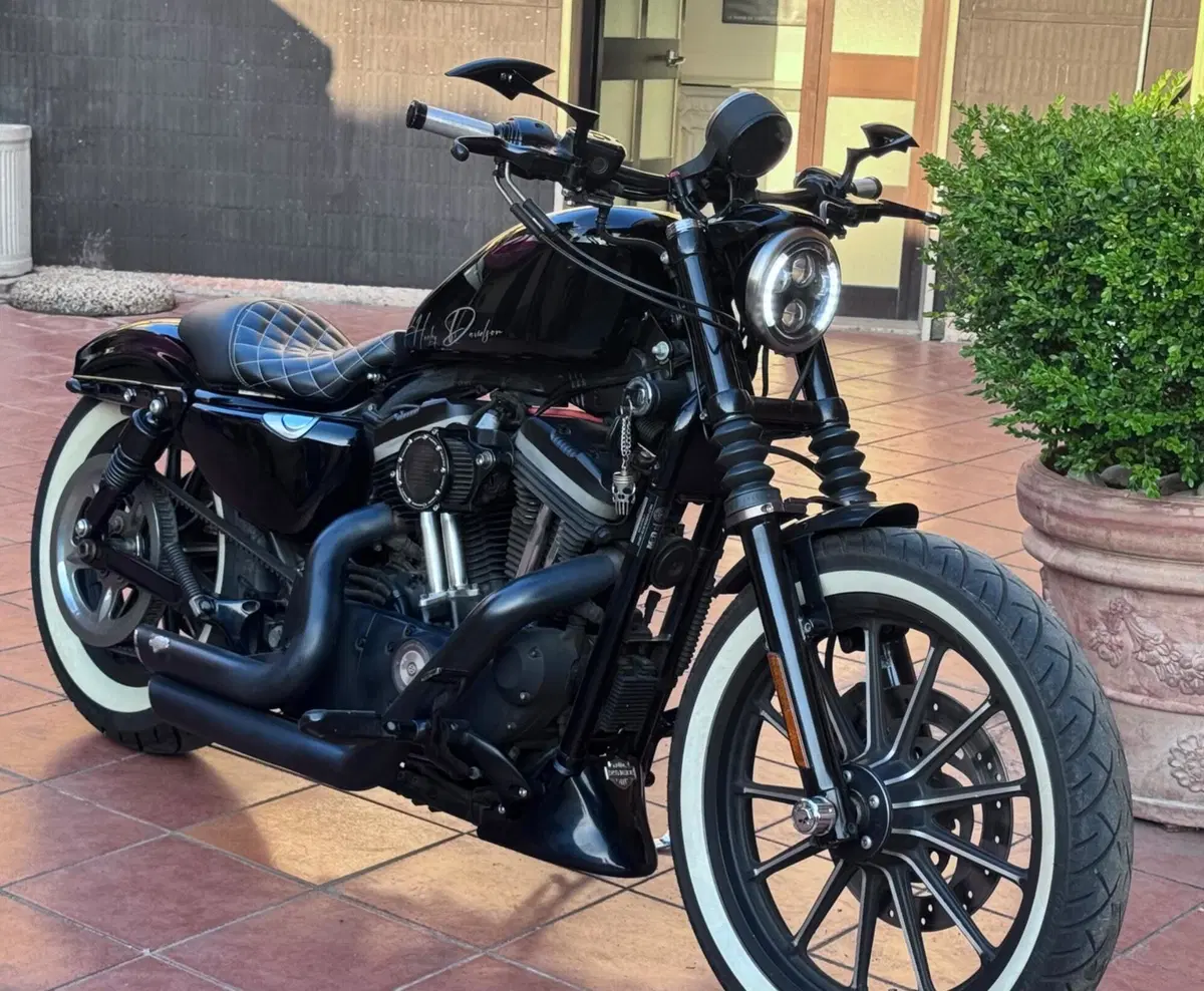Harley-Davidson 883 Iron (2009 - 11) - XL 883N (4)