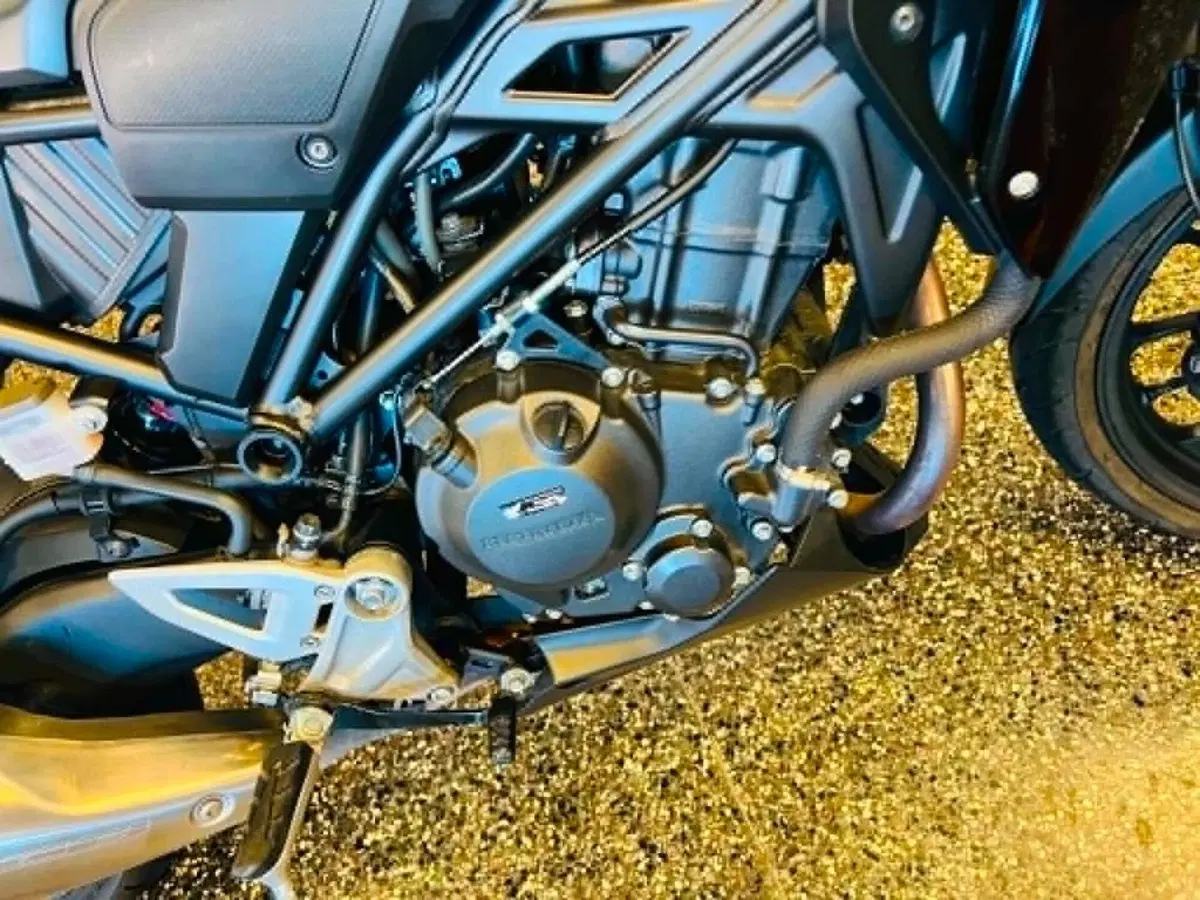 Honda CB 300 R (2022 - 26) (5)