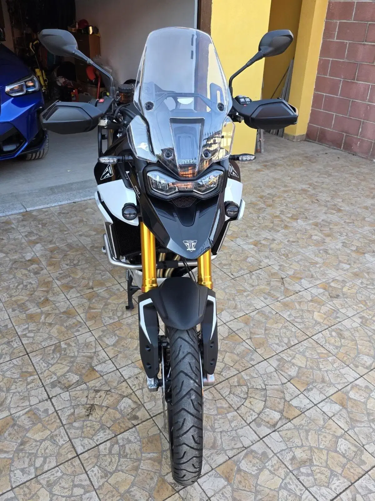 Triumph Tiger 900 Rally Pro (2024 - 26) (3)